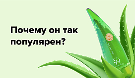 8 способов применить гель алоэ