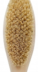 ALOEsmart~Щетка из натурального кактусового волокна для сухого массажа на длинной ручке
